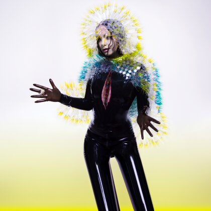 Björk - Vulnicura (2 LPs)