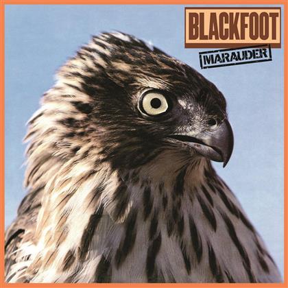 Blackfoot - Marauder - Music On Vinyl (LP)