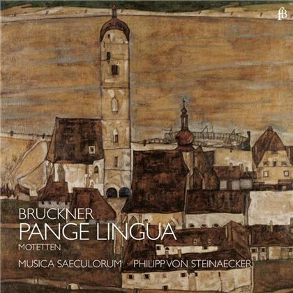 Musica Saeculorum & Anton Bruckner (1824-1896) - Pange Lingua: Motetten