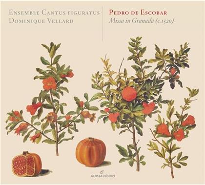 Dominique Vellard *1953, Pedro de Escobar & Ensemble Cantus Figuratus - Missa In Granada c. 1520