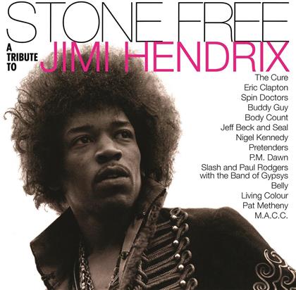 Tribute To Hendrix Jimi - Various - Stone Free - Music On Vinyl (2 LPs)