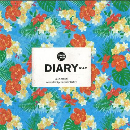 Ruede Hagelstein - A Selection Of Diary 4.2 (12" Maxi)