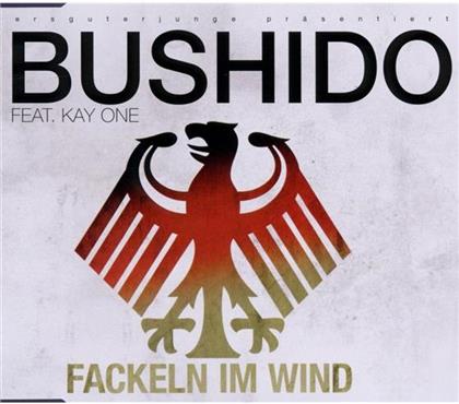 Bushido feat. Kay One - Fackeln Im Wind 2010