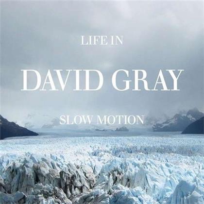 David Gray - Life In Slow Motion (New Version)