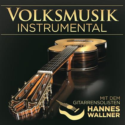 Hannes Wallner - Volksmusik Instrumental