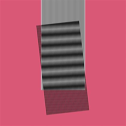 Hot Chip - Why Make Sense? (Deluxe Edition, 2 LPs)