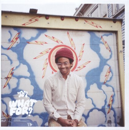 Toro Y Moi - What For