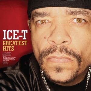 Ice-T - Greatest Hits (LP)