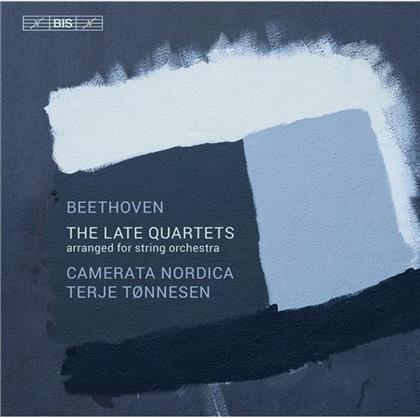 Camerata Nordica, Ludwig van Beethoven (1770-1827) & Terje Tonnesen - Späte Streichquartette - The Late Quartets - Arranged For String Orchestra by Terje Tonnesen (3 CDs)