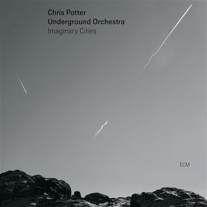 Chris Potter - Imaginary Cities (LP)