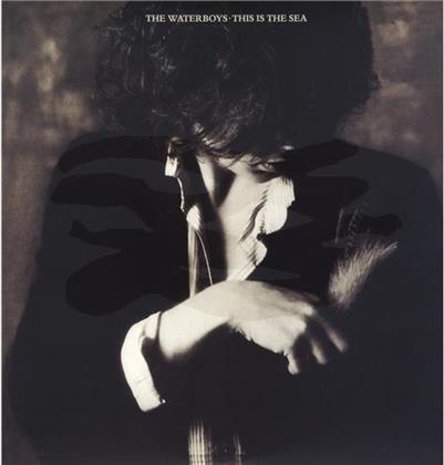 The Waterboys - This Is The Sea (LP)