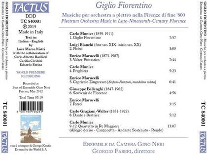 Ensemble da Camera Gino Neri, Carlo Munier 1859-1911, Luigi Alberto Bianchi, Enrico Marucelli 1873-1907, Giuseppe Bellenghi 1847-1902, … - Giglio Fiorentino: Plectrum Orchestra Music In Late Nineteenth Century Florence