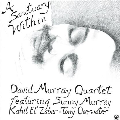 David Murray & Murray - A Santuary Within