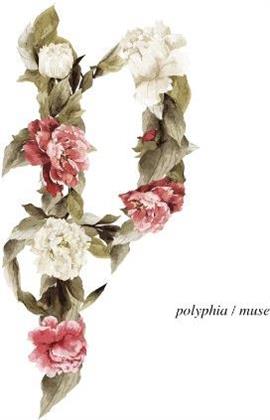 Polyphia - Muse