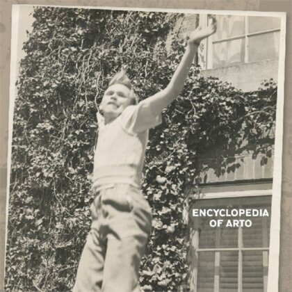 Arto Lindsay - Encyclopedia Of Arto (2 LPs)