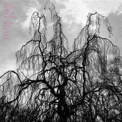 Colin Stetson - Never Were The Way She