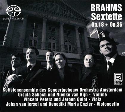 Johannes Brahms (1833-1897), Schoch Ursula, Vincent Peters, Jeroen Quint & Solistenensemble Des Concertgebouw Orchestra Amsterdam - Sextette (SACD)