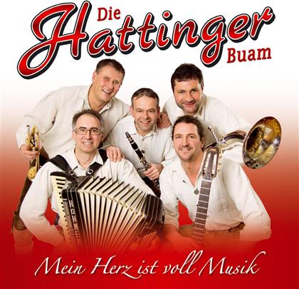 Die Hattinger Buam - Mein Herz Ist Voll Musik