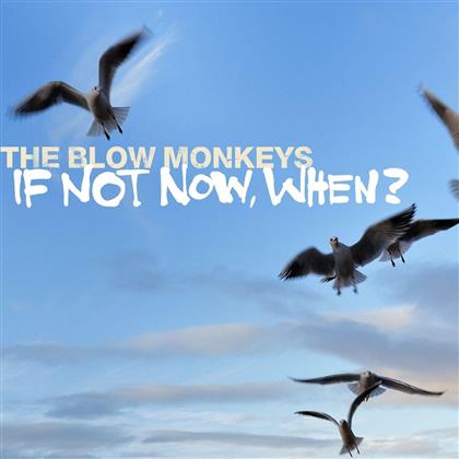 The Blow Monkeys - If Not Now, When?