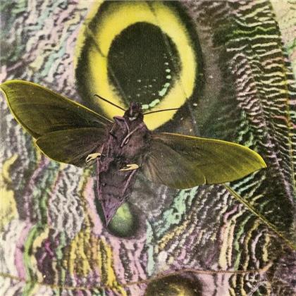 The Mothmen - Pay Attention! (Expanded Edition, Versione Rimasterizzata)