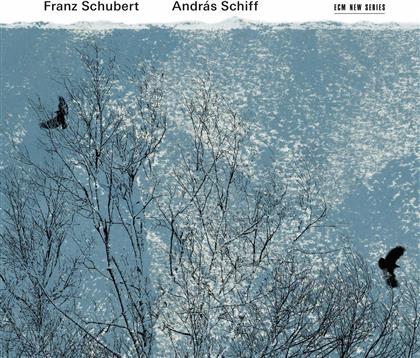 Franz Schubert (1797-1828) & Andras Schiff - Ungarische Melodie - Ungarische Melodie in h-moll D817, Klaviersonate in G-Dur D894 op78, Moments musicaux D780 op94, Allegretto in c-moll D9 (2 CDs)