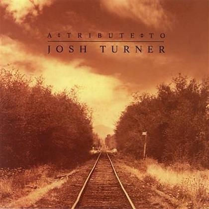 Tribute To Turner Josh