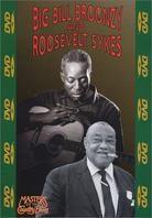 Sykes Roosevelt & Broonzy Big Bill - Masters of the Country Blues
