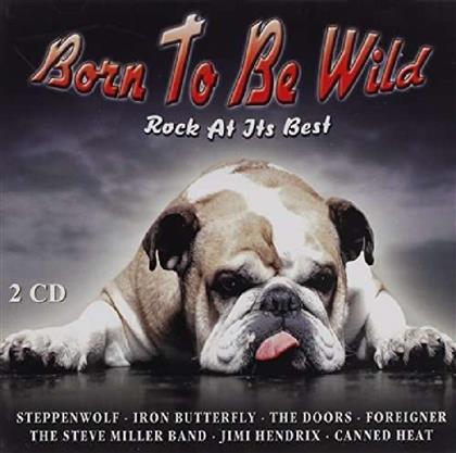 Born To Be Wild - Various - Membran Records (2 CDs)