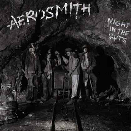 Aerosmith - Night In The Ruts (Remastered)