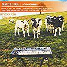 Banco De Gaia - Live At Glastonbury