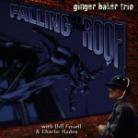 Ginger Baker - Falling Off The Roof