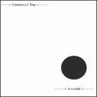 Emmanuel Top - Asteroid