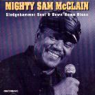 Mighty Sam McClain - Sledgehammer Soul