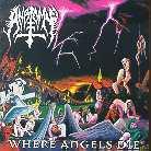 Anatomy - Where Angels Lie