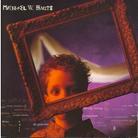 Michael W. Smith - Big Picture
