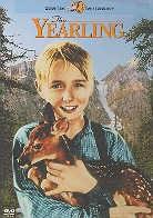The yearling (1946)