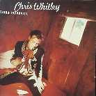 Chris Whitley - Terra Incognita