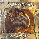 Swandive - Intuition