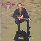 Larry Carlton - On Solid Ground