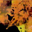Asche - Non Apocalypse