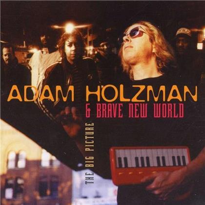 Adam Holzman - Big Picture