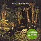 Echo & The Bunnymen - Evergreen