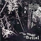 Thou Shalt Suffer - Into The Woods Of Belial