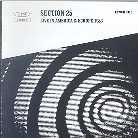 Section 25 - Live In America & Europe 1982