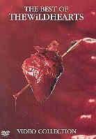 Wildhearts - The best of wildhearts video coll.