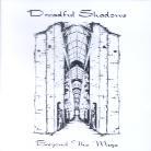 Dreadful Shadows - Beyond The Maze (2 CDs)
