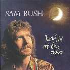 Sam Bush - Howlin At The Moon