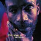 Bim Sherman - What Happened