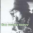 The Waterboys - Live Adventures Of (2 CDs)