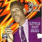 Walter Horton - Little Boy Blue